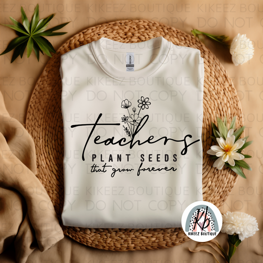 Teachers plant Seeds